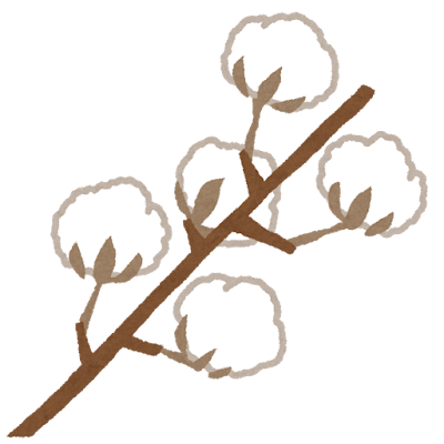 綿花　イラスト
